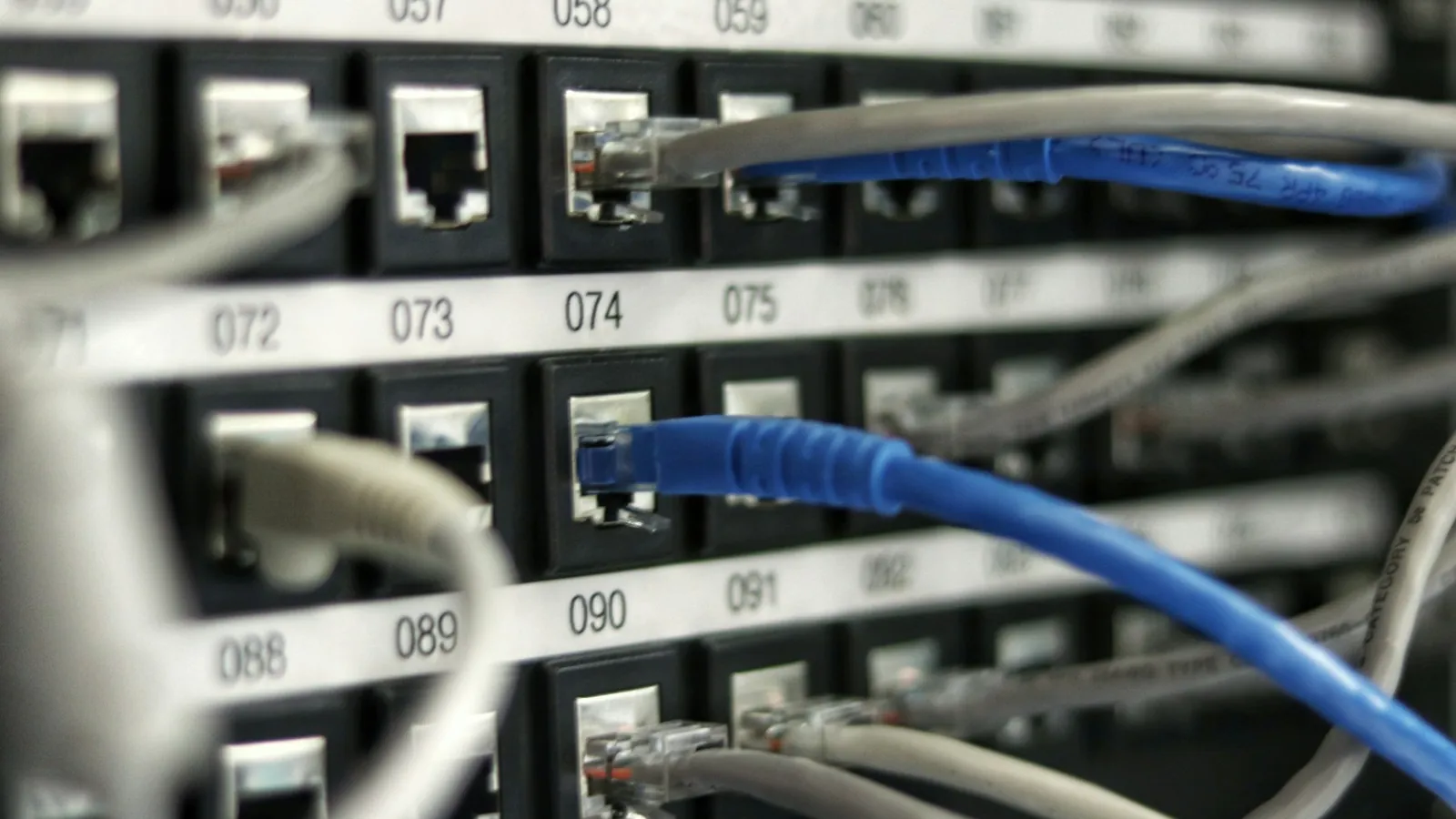 Kék és szürke Ethernet-kábelek egy számozott hálózati patchpanelen.